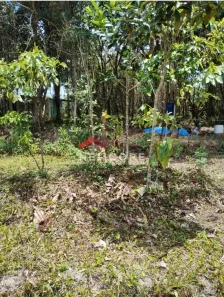 Lote/Terreno à venda, 360m² no Jardim São  Luis, Peruíbe