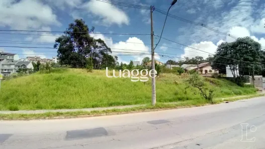 Lote/Terreno para alugar, 3118m² no Hípica, Porto Alegre