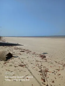 Lote/Terreno à venda, 5000m² no São José de Ribamar, São José de Ribamar