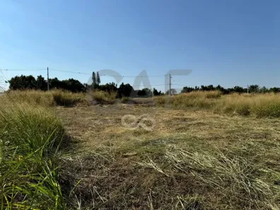 Lote/Terreno à venda, 10m² no Jardim Europa, Holambra