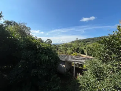 Fazenda/Sítio com 4 Quartos à venda, 15000m² no , Santo Antônio do Pinhal