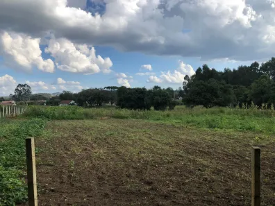 Fazenda/Sítio à venda, 4000m² no Roseira de São Sebastião, São José dos Pinhais