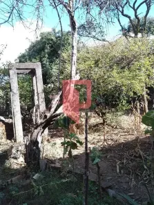 Lote/Terreno à venda, 10m² no Novo Glória, Belo Horizonte