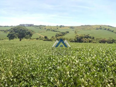 Fazenda/Sítio à venda, 1694000m² no Rural, Sertanópolis