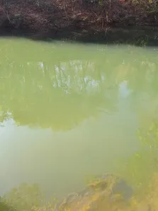 Fazenda/Sítio à venda, 5000m² no , Cocalzinho de Goiás