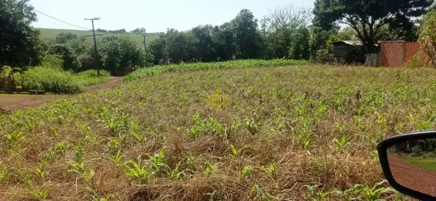 Lote/Terreno à venda, 998m² no Área Rural de Toledo, Toledo