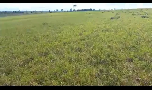 Fazenda/Sítio à venda, 4356000m² no Centro, Montanha