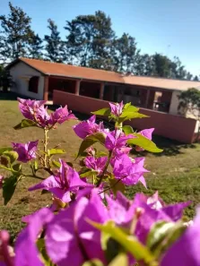 com 3 Quartos à venda, 20000m² no Parque Val de Palmas, Bauru