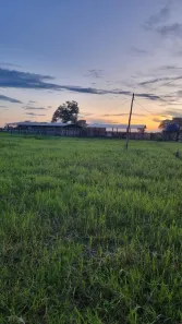 Fazenda/Sítio com 3 Quartos à venda, 120m² no , Cocalinho