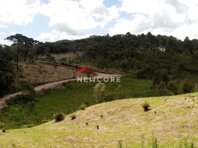Fazenda/Sítio com 1 Quarto à venda, 46000m² no Colônia Murici, São José dos Pinhais