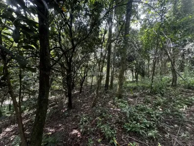 Lote/Terreno à venda, 336m² no Travessão, Dois Irmãos