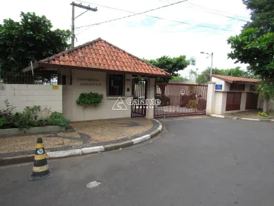Apartamento com 3 Quartos para alugar, 74m² no Chácara da Barra, Campinas