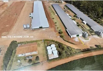 Imóvel Comercial à venda, 60500m² no , Roncador