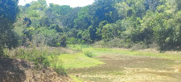 Lote/Terreno à venda, 20000m² no Jequitibá, Jequitibá