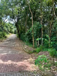 Lote/Terreno à venda, 2933m² no Pasárgada, Nova Lima