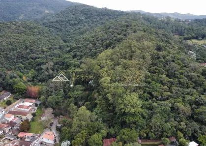 Lote/Terreno à venda, 20000m² no , Santo Antônio do Pinhal