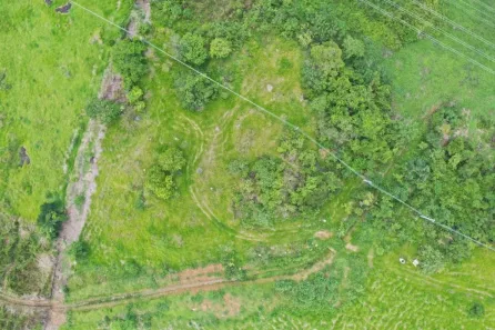 Lote/Terreno à venda, 139300m² no Aparecida, Aparecida