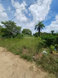 Lote/Terreno à venda, 1m² no , Itapissuma