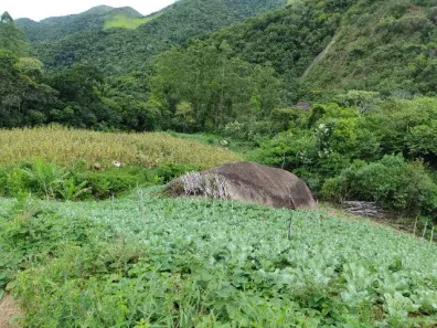 Lote/Terreno à venda, 32000m² no Lumiar, Nova Friburgo