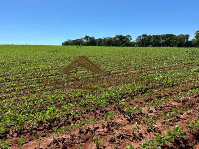 Fazenda/Sítio à venda, 145000m² no Área Rural de Tatuí, Tatuí