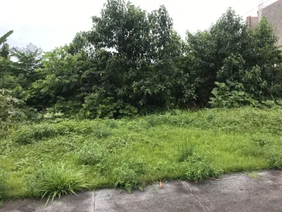 Lote/Terreno com 1 Quarto à venda, 6483m² no Tarumã-Açu, Manaus
