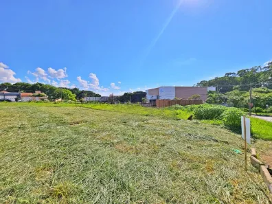 Lote/Terreno para alugar, 300m² no Vila Ana Maria, Ribeirão Preto
