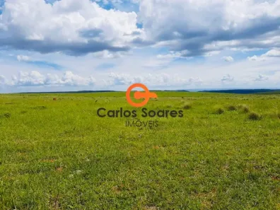 Fazenda/Sítio à venda, 10420000m² no , Delfinópolis