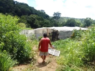 Fazenda/Sítio à venda, 8000m² no , Bonfinópolis