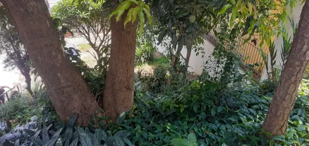 Casa com 1 Quarto para alugar, 70m² no Vila Monumento, São Paulo