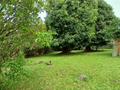 Lote/Terreno à venda, 1389m² no Centro, São José