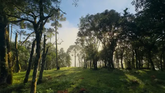 Fazenda/Sítio à venda, 20000m² no Urubici, Urubici