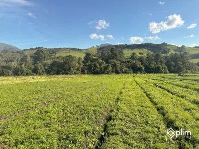 Fazenda/Sítio com 1 Quarto à venda, 85000m² no , Bom Retiro