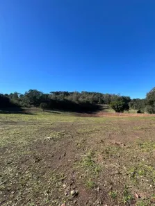 Lote/Terreno à venda, 31916m² no Vinhedos, Caxias do Sul