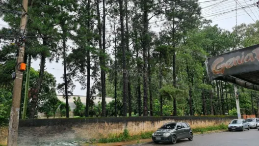 Lote/Terreno à venda, 6000m² no Jardim Ponte Alta I, Guarulhos