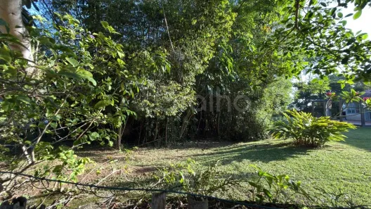 Lote/Terreno à venda, 775m² no Ponta das Canas, Florianópolis
