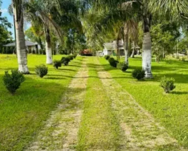 Fazenda/Sítio com 2 Quartos à venda, 5000m² no Mandirituba, Mandirituba