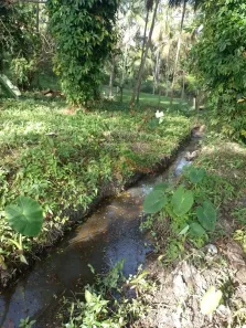 Lote/Terreno à venda, 1531m² no Ratones, Florianópolis