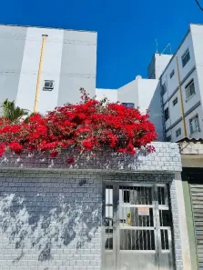 Apartamento com 2 Quartos à venda, 57m² no Conjunto Residencial José Bonifácio, São Paulo