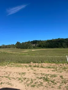 Lote/Terreno à venda, 500m² no Água Espraiada (Caucaia do Alto), Cotia