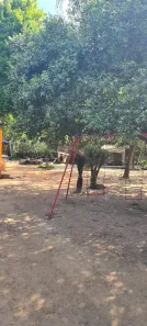 Lote/Terreno à venda, 1347m² no Pinheiro, São Leopoldo