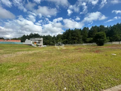Lote/Terreno à venda, 343m² no Country, Santa Cruz do Sul