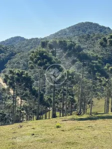 Fazenda/Sítio com 2 Quartos à venda, 40000m² no Invernadinha, Rancho Queimado
