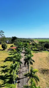 Fazenda/Sítio com 3 Quartos à venda, 121000m² no , Neves Paulista
