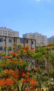 Apartamento com 2 Quartos à venda, 60m² no Barreto, Niterói
