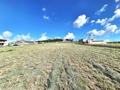 Lote/Terreno à venda, 313m² no Residencial Alto do Castelo, Ribeirão Preto