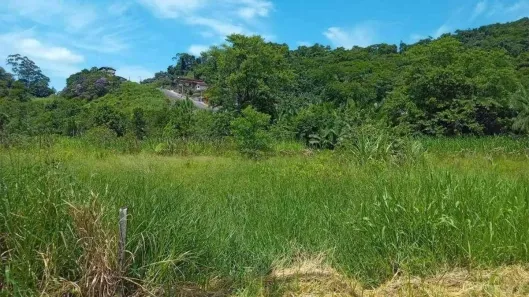 Lote/Terreno à venda, 3502m² no Amizade, Guaramirim