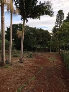Fazenda/Sítio à venda, 4000m² no Parque Nacional, Londrina