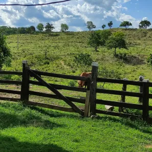 Fazenda/Sítio com 2 Quartos à venda, 134m² no , Poconé