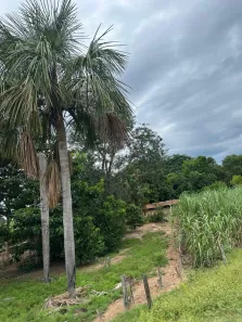 Fazenda/Sítio com 3 Quartos à venda, 10m² no , Figueirópolis