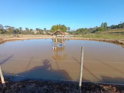 Fazenda/Sítio com 4 Quartos à venda, 590000m² no , Conceição do Pará